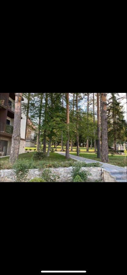 Titova Vila Zlatibor Mountain View Apartment Екстериор снимка